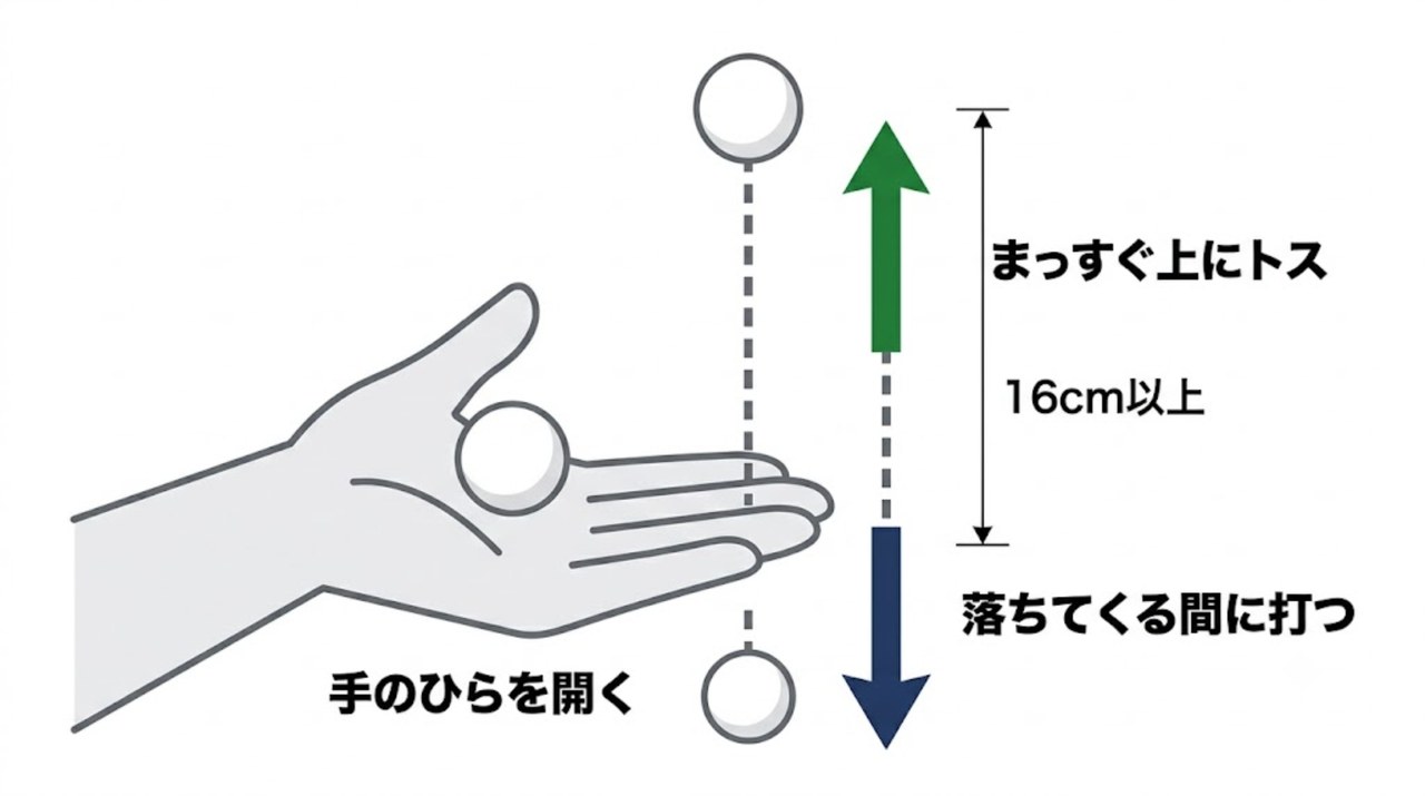 サーブは手のひらを開き16cm以上まっすぐトスすることを示す図