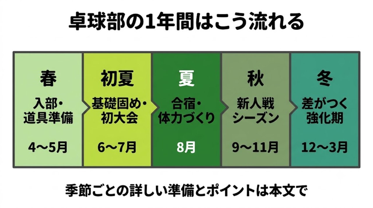 卓球部の1年間の季節別スケジュールを示す帯図